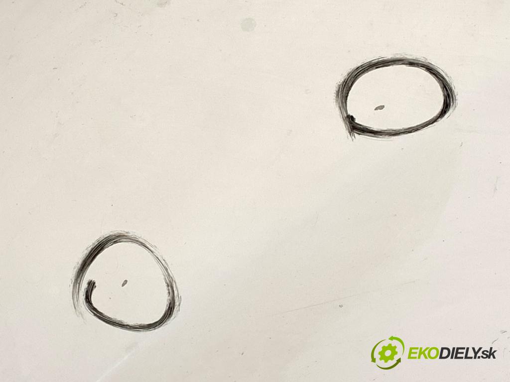 CITROEN BERLINGO III nadwozie wielkoprzestrzenne (MPV) 2019 73 kW 1.6 BlueHDi 100 1560 kapota  (Kapota)