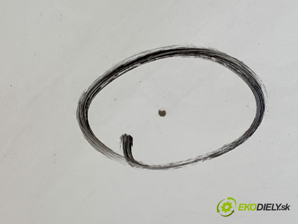 CITROEN BERLINGO III nadwozie wielkoprzestrzenne (MPV) 2019 73 kW 1.6 BlueHDi 100 1560 kapota  (Kapota)