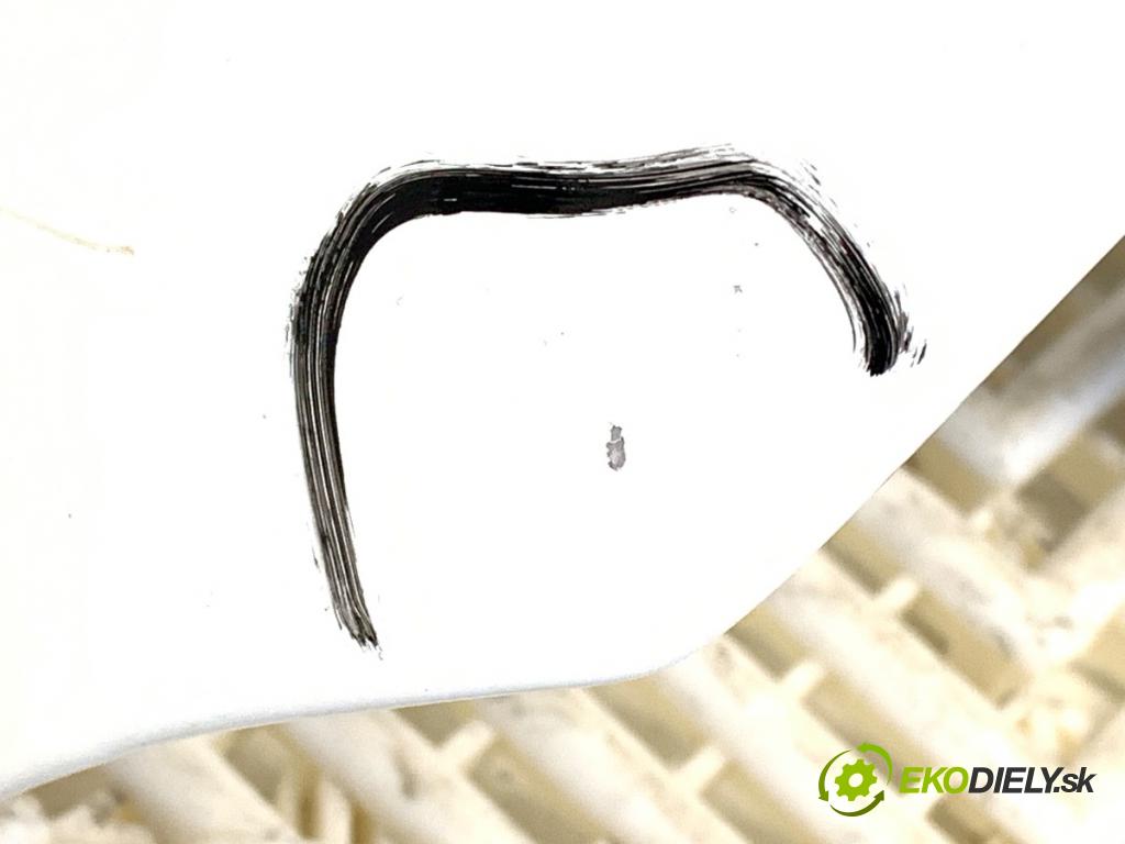 CITROEN BERLINGO III nadwozie wielkoprzestrzenne (MPV) 2019 73 kW 1.6 BlueHDi 100 1560 kapota  (Kapota)