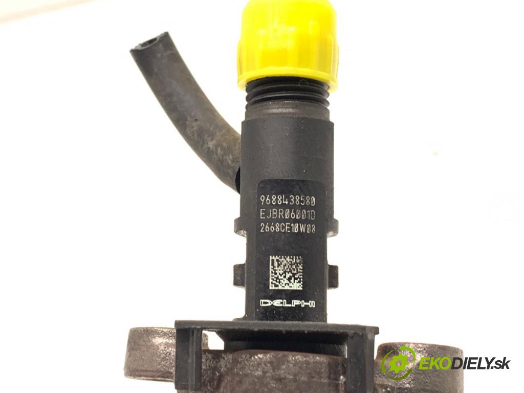 PEUGEOT 508 SW I Kombi 2011 103 kW 2.0 HDi 1997 vstrekovač 9688438580 (Vstrekovač paliva)