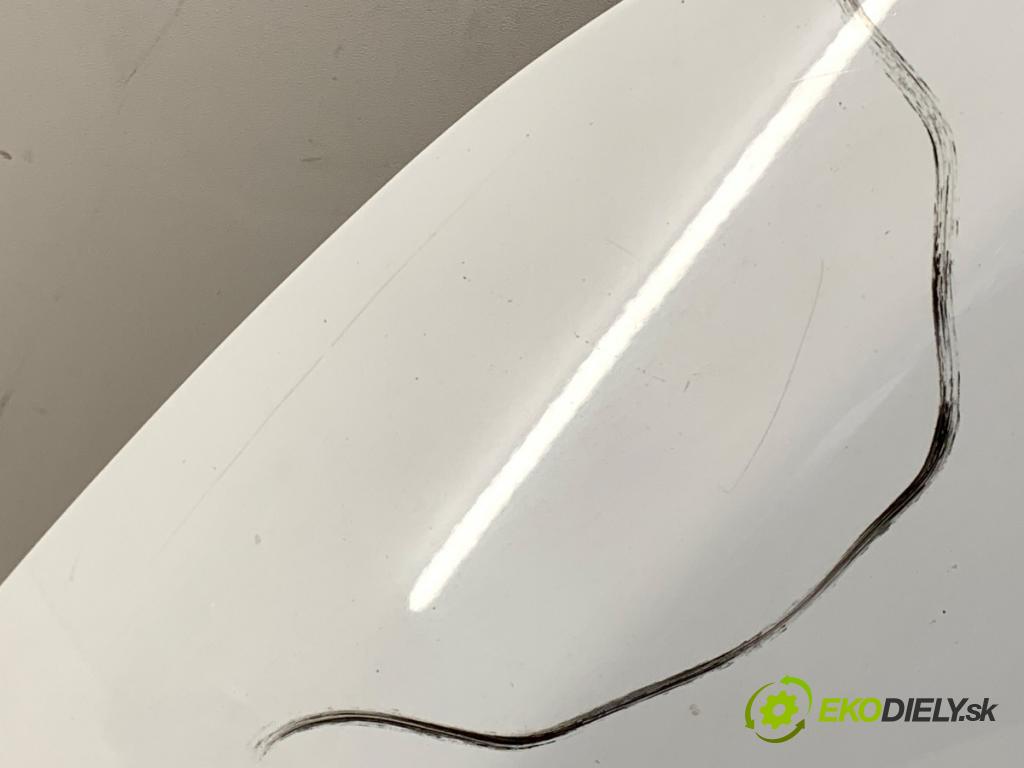 FORD FIESTA MK7 liftback 2012 51 kW 1.4 TDCi 1399 kapota  (Kapota)