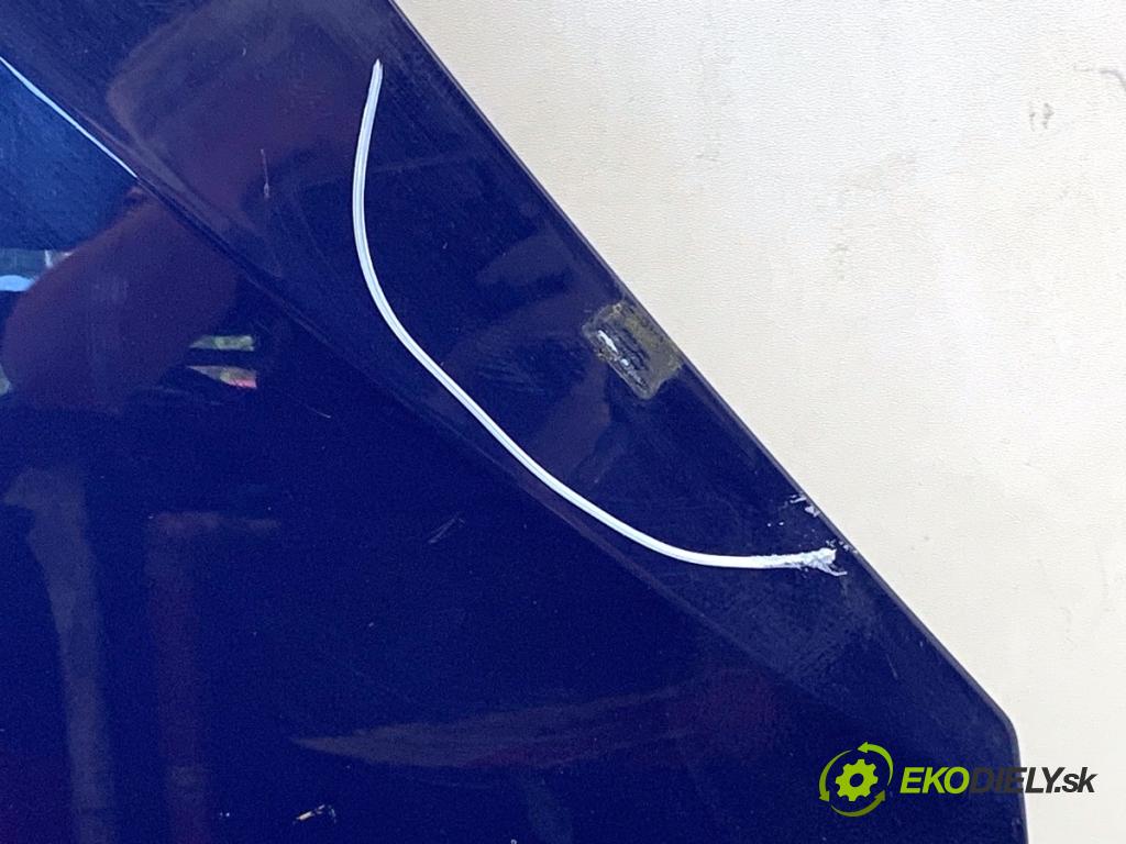 DACIA SANDERO liftback 2008 64 kW 1.6 (BS0R, BS0D, BS0B, BS0F, BS0H) 1598 kapota  (Kapota)