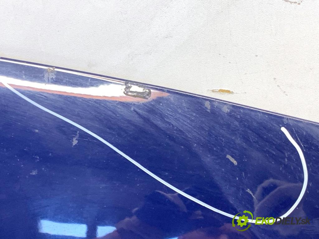 DACIA SANDERO liftback 2008 64 kW 1.6 (BS0R, BS0D, BS0B, BS0F, BS0H) 1598 kapota  (Kapota)