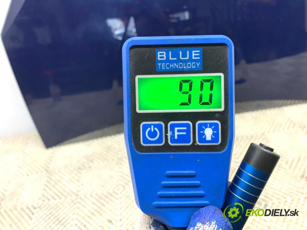 DACIA SANDERO liftback 2008 64 kW 1.6 (BS0R, BS0D, BS0B, BS0F, BS0H) 1598 kapota  (Kapota)