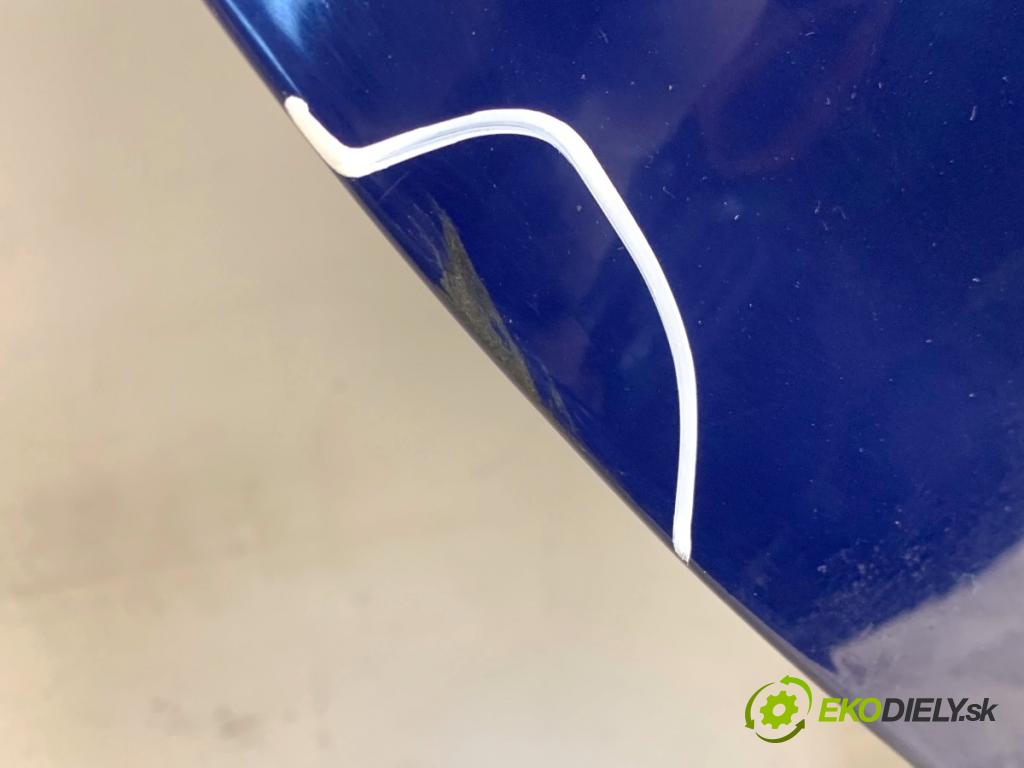 DACIA SANDERO liftback 2008 64 kW 1.6 (BS0R, BS0D, BS0B, BS0F, BS0H) 1598 dveře pravý zadní část