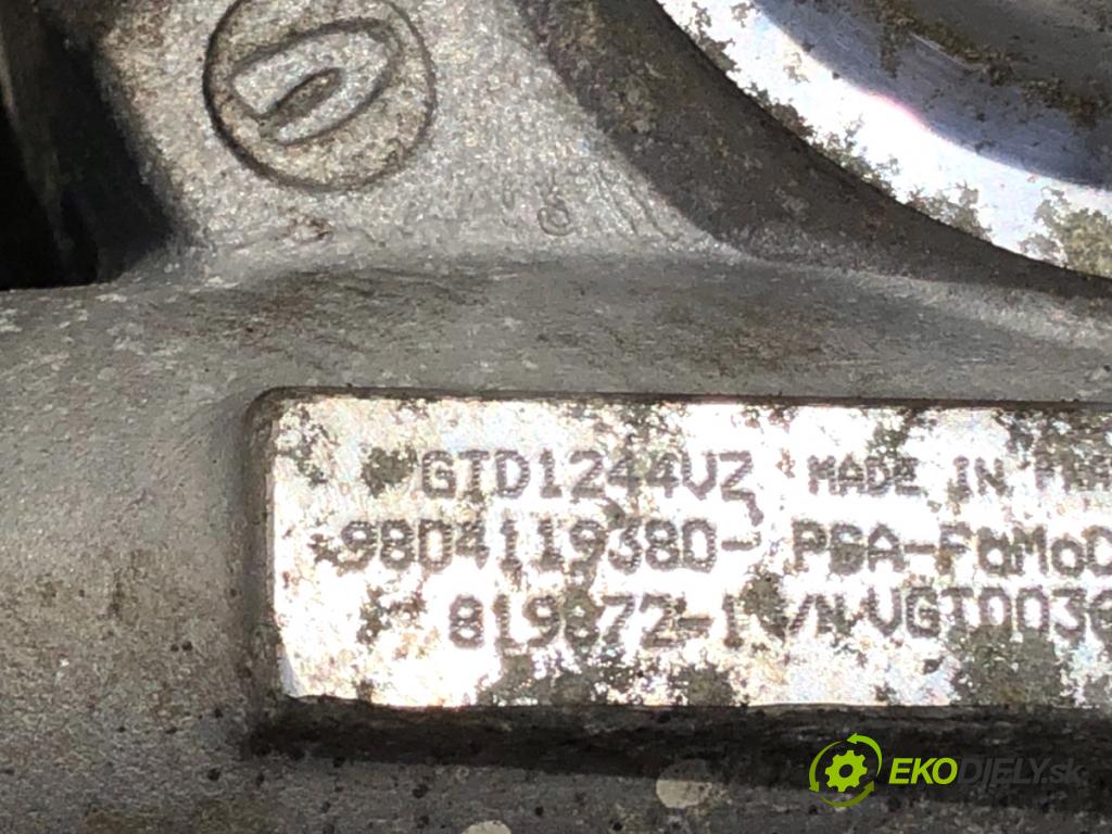 CITROEN BERLINGO II nadwozie wielkoprzestrzenne (MPV) 2018 88 kW 1.6 BlueHDi 120 1560 turbo 9804119380 (Kompletní turbodmychadlo)