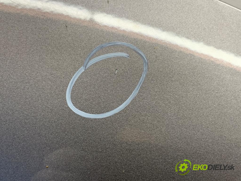 RENAULT GRAND SCENIC III nadwozie wielkoprzestrzenne (MPV) 2009 96 kW 1.4 16V (JZ0F) 1397 kapota TEKNG (Kapota)