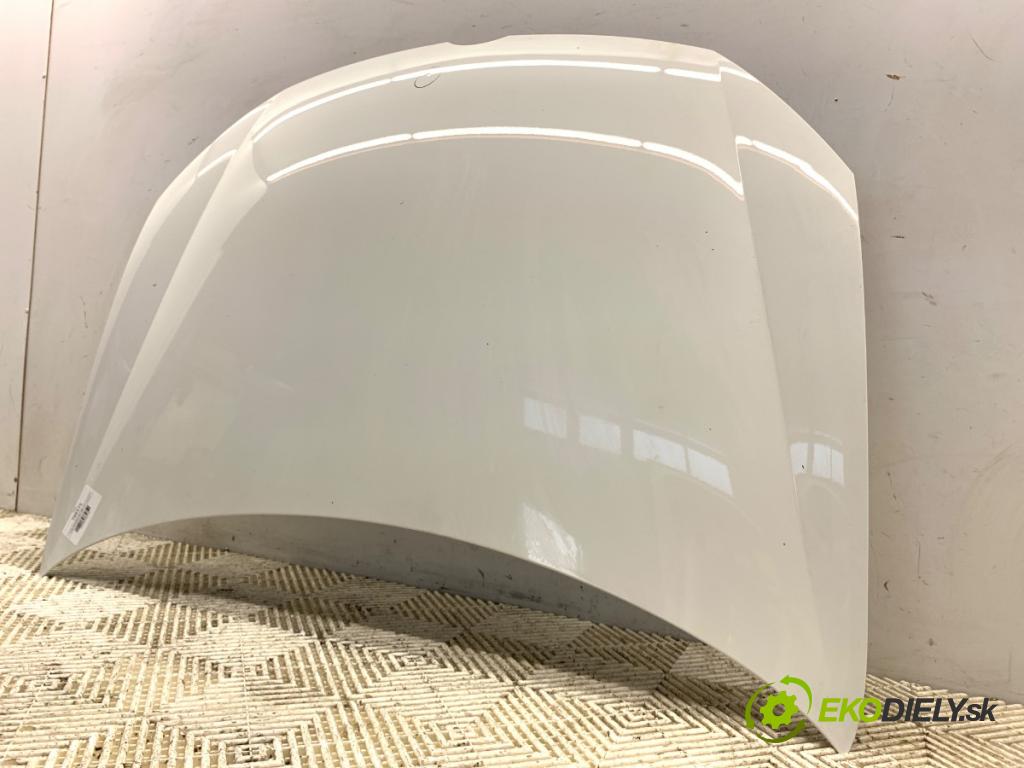 VW GOLF VI liftback 2011 63 kW 1.2 TSI 1197 kapota LB9A (Kapota)