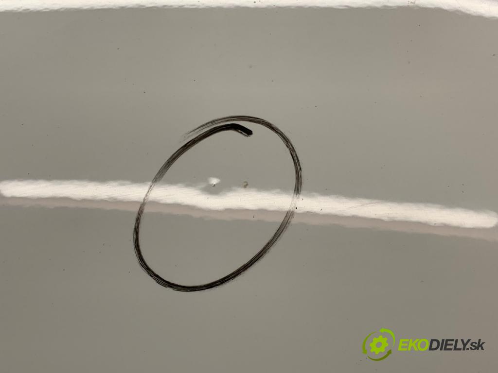 VW GOLF VI liftback 2011 63 kW 1.2 TSI 1197 kapota LB9A (Kapota)