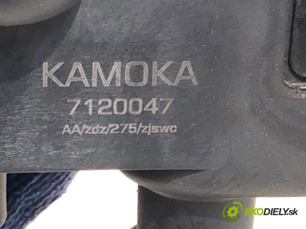 PEUGEOT 407 sedan 2004 100 kW 2.0 (6DRFNB, 6DRFNE) 1997 Cievka zapaľovacia (Zapaľovacia cievka)