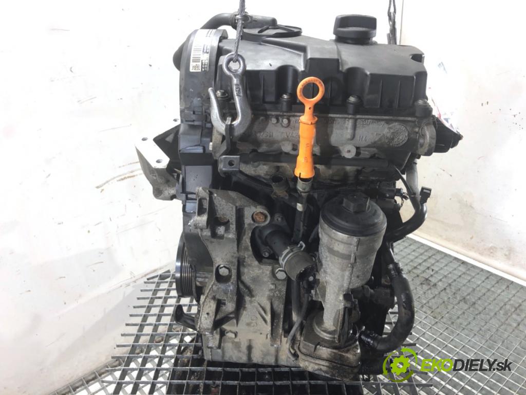 VW POLO IV 9N liftback 2007 51 kW 1.4 TDI 1422 Motor BNM (Motor)