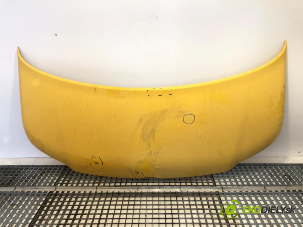 VW TRANSPORTER T5 Autobus 2005 63 kW 1.9 TDI 1896 kapota  (Kapota)