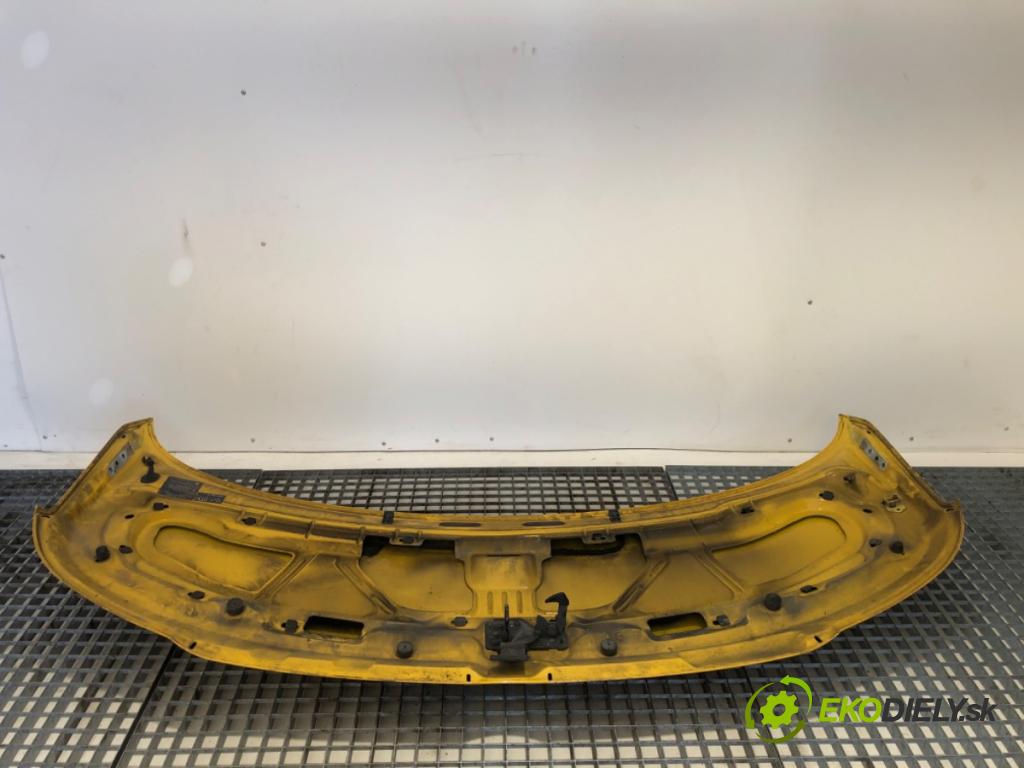 VW TRANSPORTER T5 Autobus 2005 63 kW 1.9 TDI 1896 kapota  (Kapota)