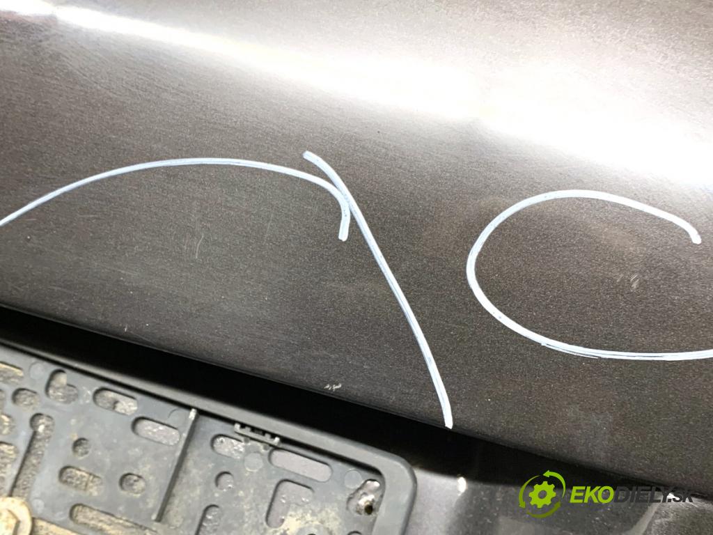 VW PASSAT B6 sedan 2008 103 kW 2.0 TDI 1968 kapota zad