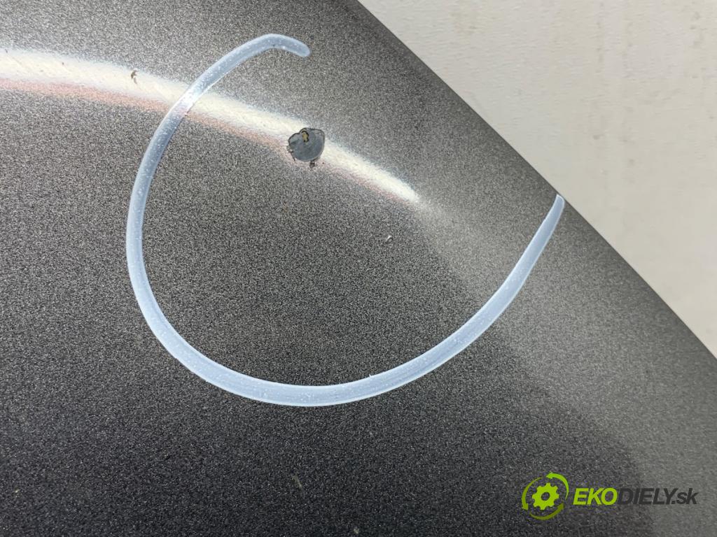 VW POLO V liftback 2011 66 kW 1.6 TDI 1598 kapota LD7R (Kapota)