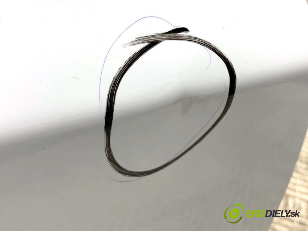 BMW E83 SUV 2008 130 kW xDrive 20 d 1995 Dvere pravy predný