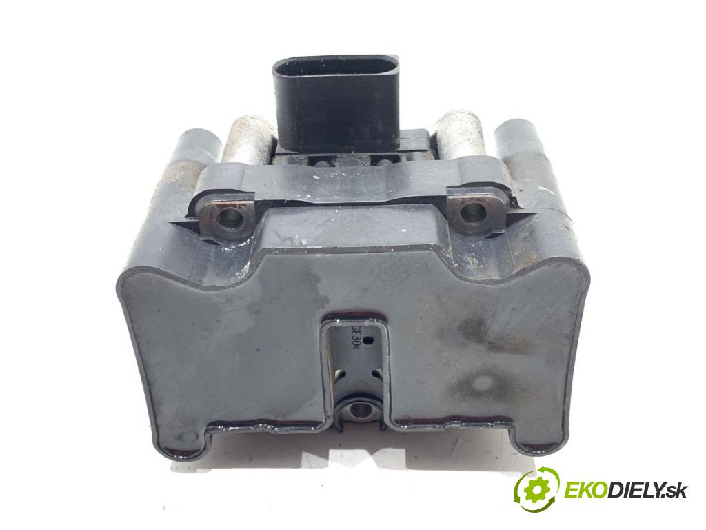 VW CADDY III Nadwozie pełne/minivan 2006 75 kW 1.6 1595 Cievka zapaľovacia R0101C00100 (Zapaľovacia cievka)