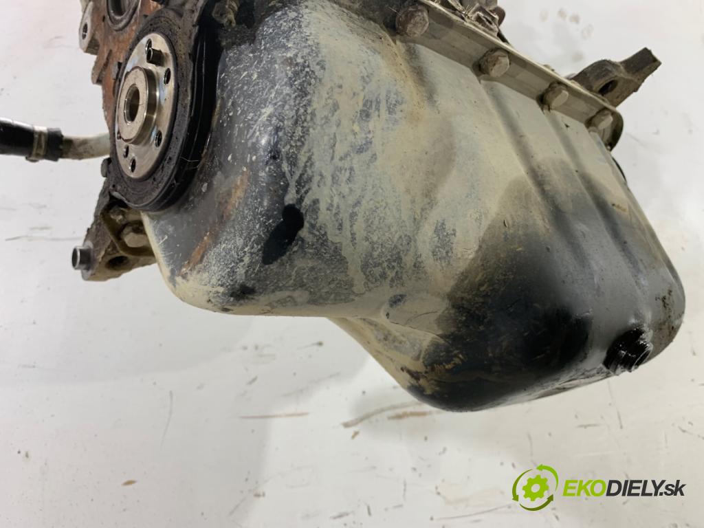 FIAT GRANDE PUNTO liftback 2007 57 kW 1.4 (199AXB11, 199AXB1A, 199BXB1A, 199AXL1A) 1368 motor 350A1000 (Motor)