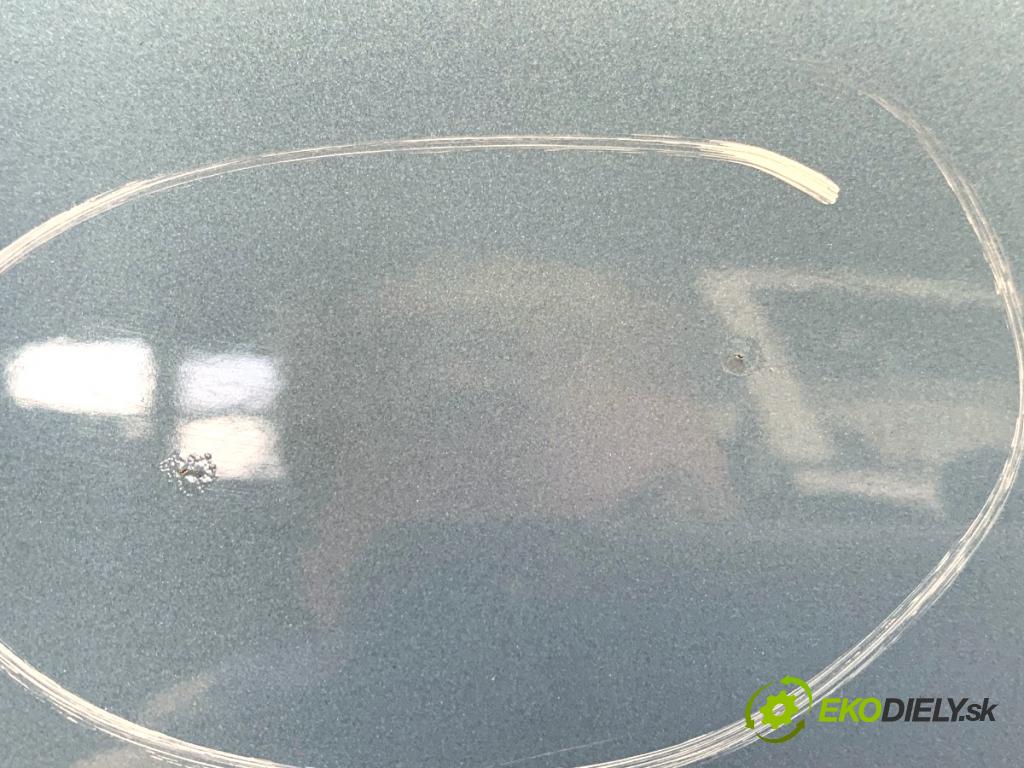 CITROEN C3 liftback 2004 50 kW 1.4 HDi 1398 Dvere ľavy predný