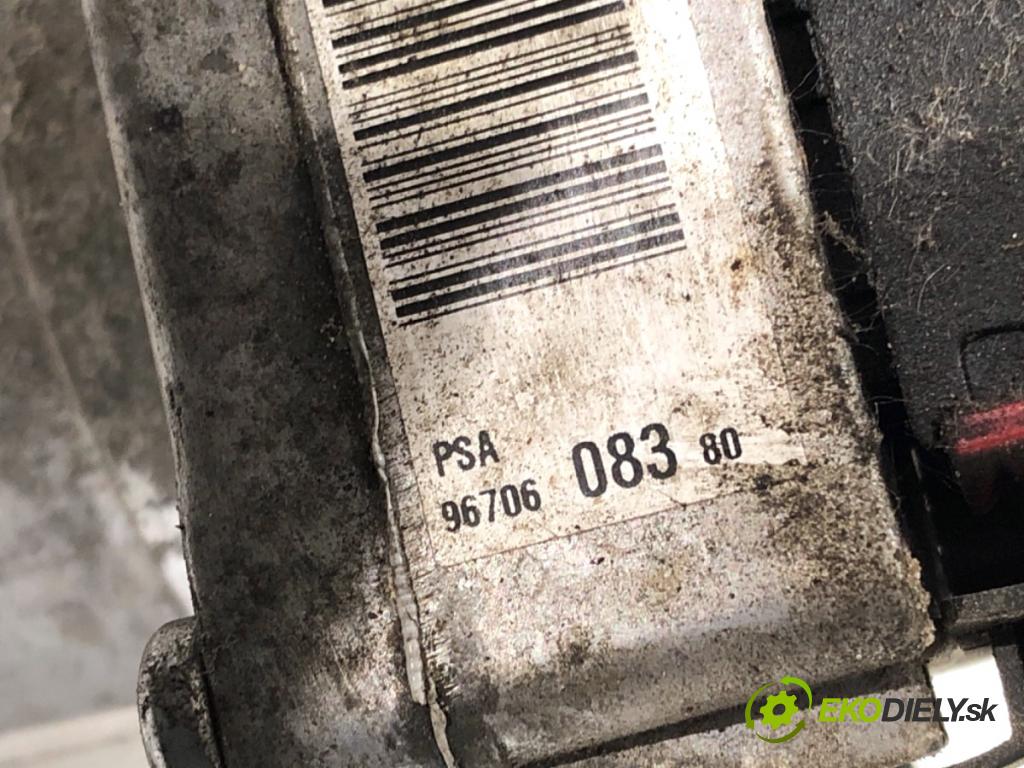 PEUGEOT 3008 nadwozie wielkoprzestrzenne (MPV) 2010 115 kW 1.6 THP 1598 pumpa servočerpadlo 9670608380 (Servočerpadlo)