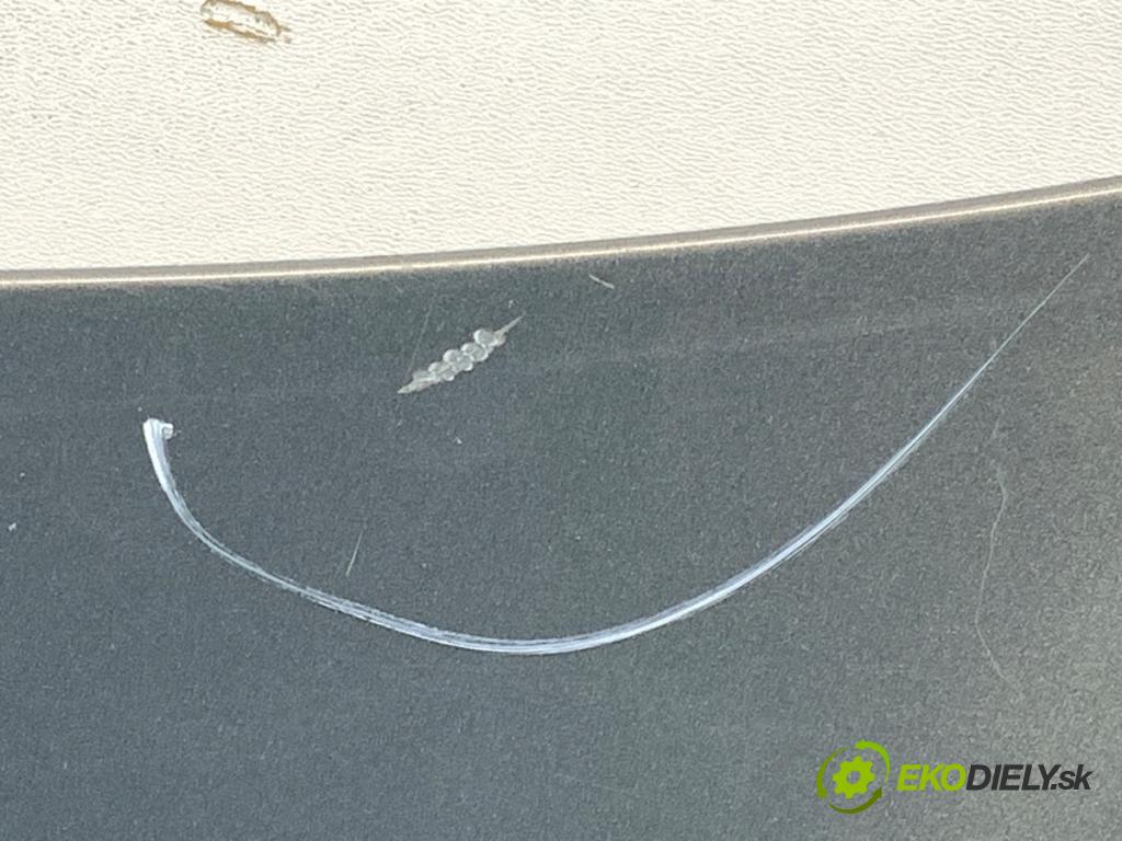 VW TOURAN nadwozie wielkoprzestrzenne (MPV) 2004 74 kW 1.9 TDI 1896 kapota  (Kapota)