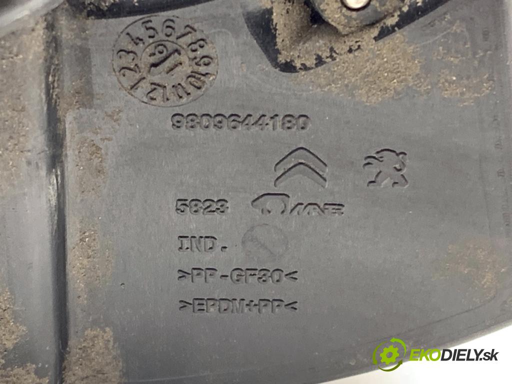 CITROEN BERLINGO II Nadwozie pełne/minivan 2016 73 kW 1.6 BlueHDi 100 1560 Dvierka nádrže paliva  (Kľučka dverí ostatné)