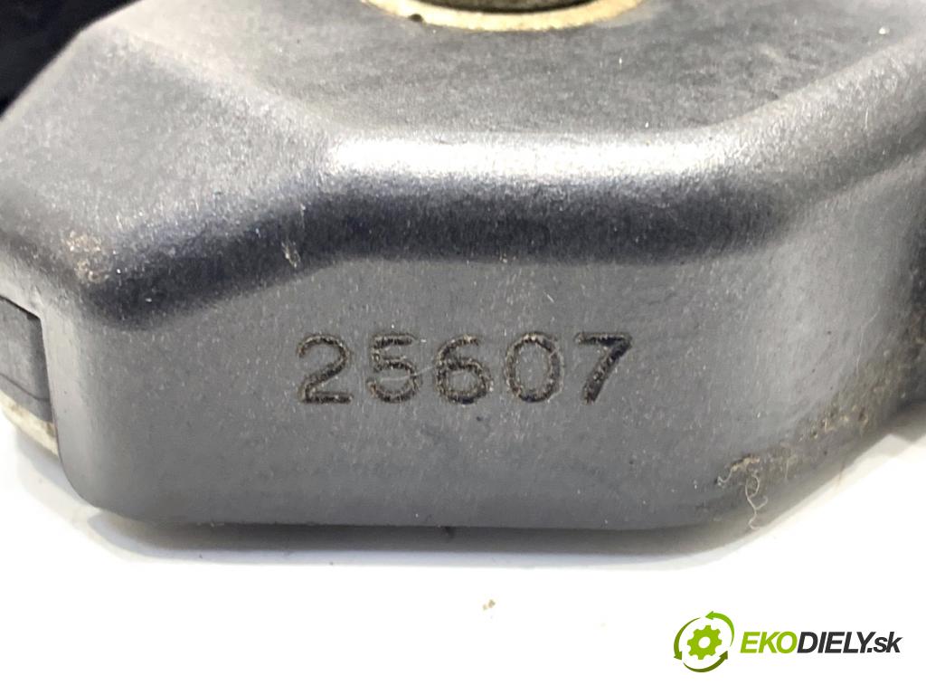 FIAT GRANDE PUNTO liftback 2008 57 kW 1.4 (199AXB11, 199AXB1A, 199BXB1A, 199AXL1A) 1368 zámok dveří zadní část