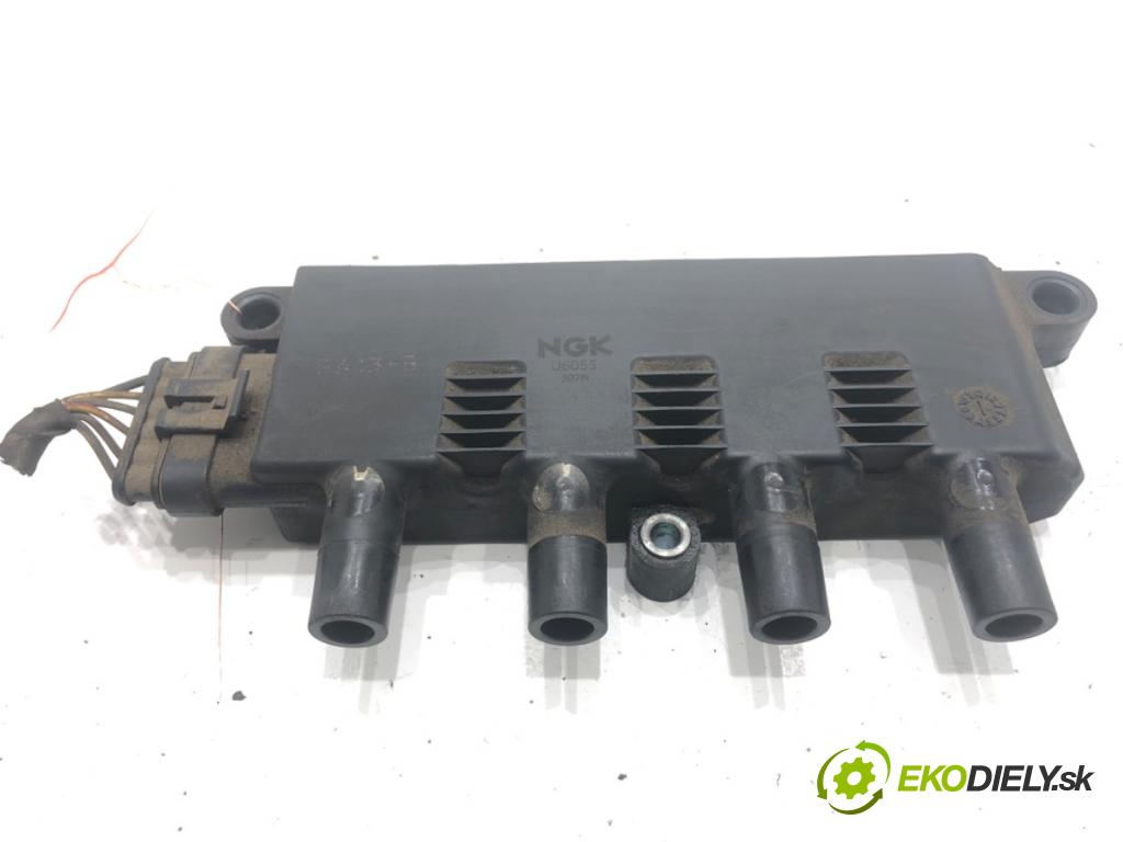 FIAT GRANDE PUNTO liftback 2008 57 kW 1.4 (199AXB11, 199AXB1A, 199BXB1A, 199AXL1A) 1368 Cievka zapaľovacia  (Zapaľovacia cievka)