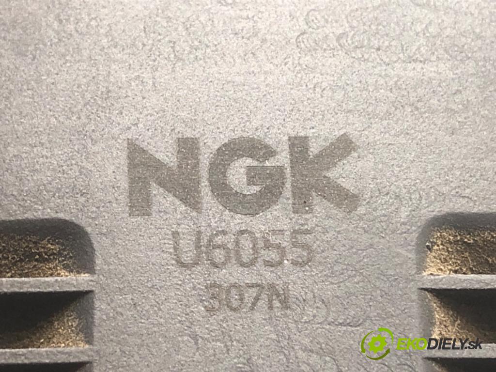 FIAT GRANDE PUNTO liftback 2008 57 kW 1.4 (199AXB11, 199AXB1A, 199BXB1A, 199AXL1A) 1368 Cievka zapaľovacia (Zapaľovacia cievka)