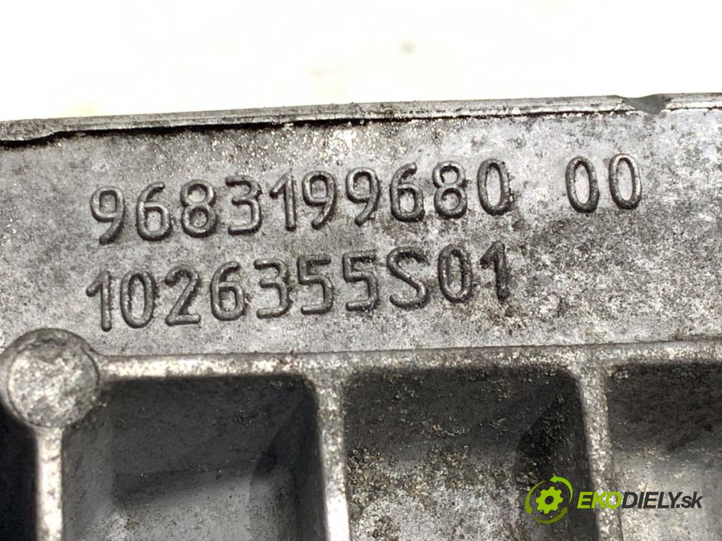 CITROEN C5 III Kombi 2013 120 kW 2.0 HDi 165 1997 obal filtra paliva 9683199680