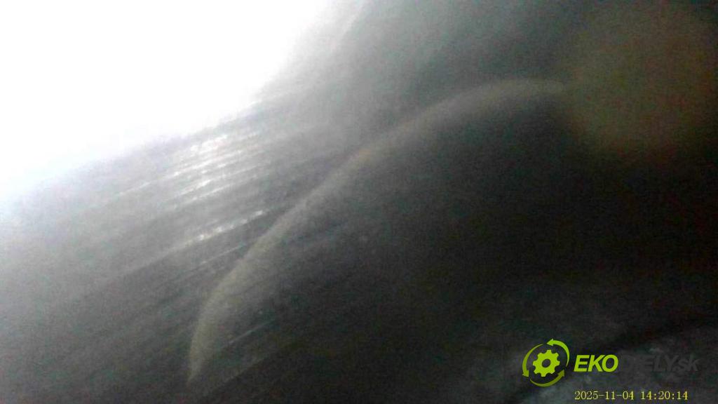 VW GOLF V Kombi 2007 77 kW 1.9 TDI 1896 Motor BLS (Motor)