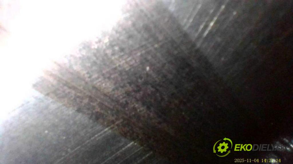 VW GOLF V Kombi 2007 77 kW 1.9 TDI 1896 Motor BLS (Motor)