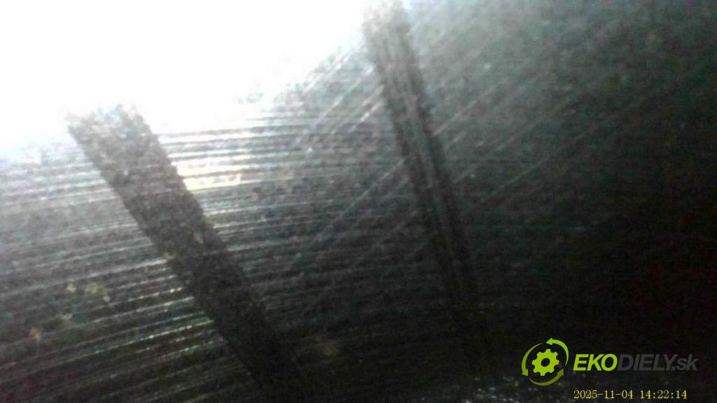 VW GOLF V Kombi 2007 77 kW 1.9 TDI 1896 Motor BLS (Motor)