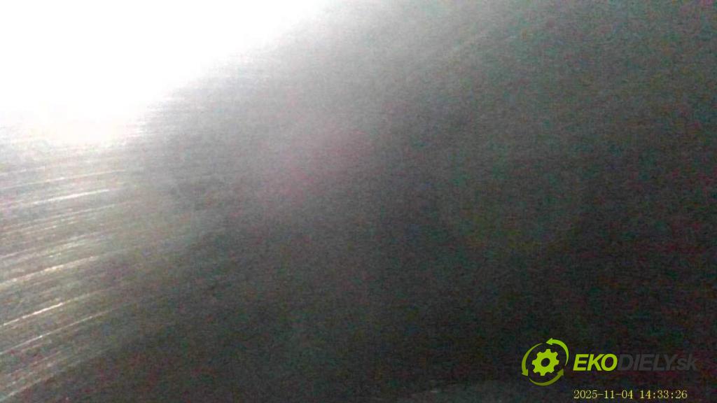 VW GOLF V Kombi 2007 77 kW 1.9 TDI 1896 Motor BLS (Motor)