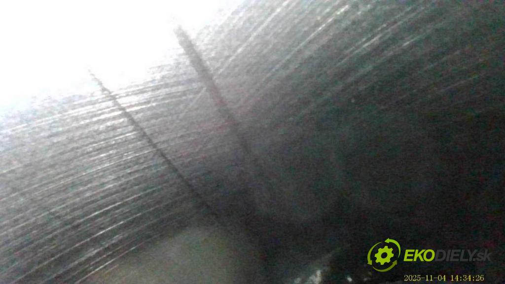 VW GOLF V Kombi 2007 77 kW 1.9 TDI 1896 Motor BLS (Motor)