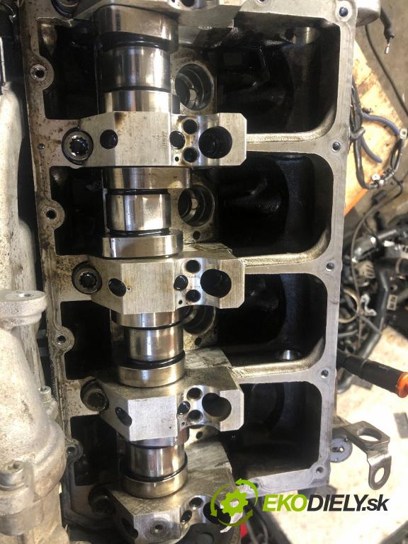 VW GOLF V Kombi 2007 77 kW 1.9 TDI 1896 Motor BLS (Motor)