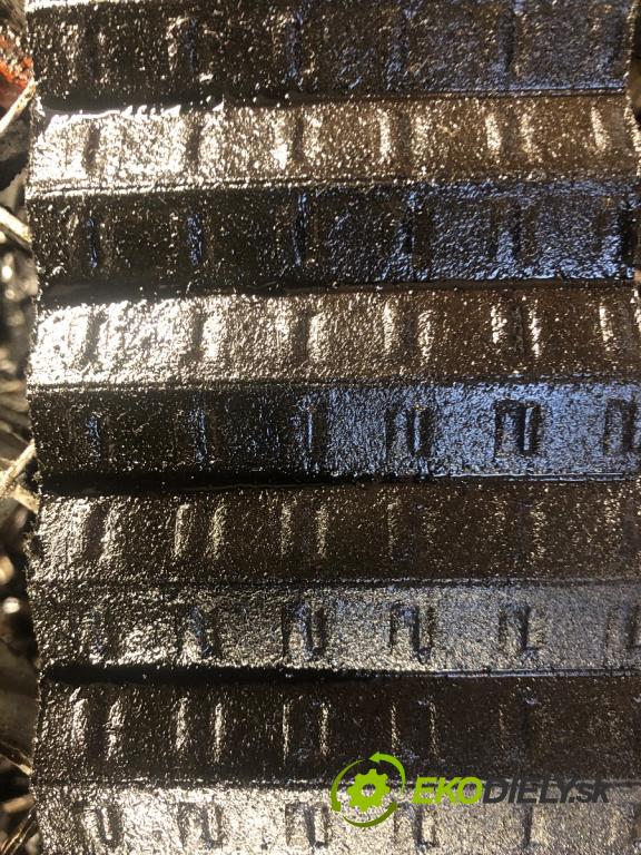 VW GOLF V Kombi 2007 77 kW 1.9 TDI 1896 Motor BLS (Motor)