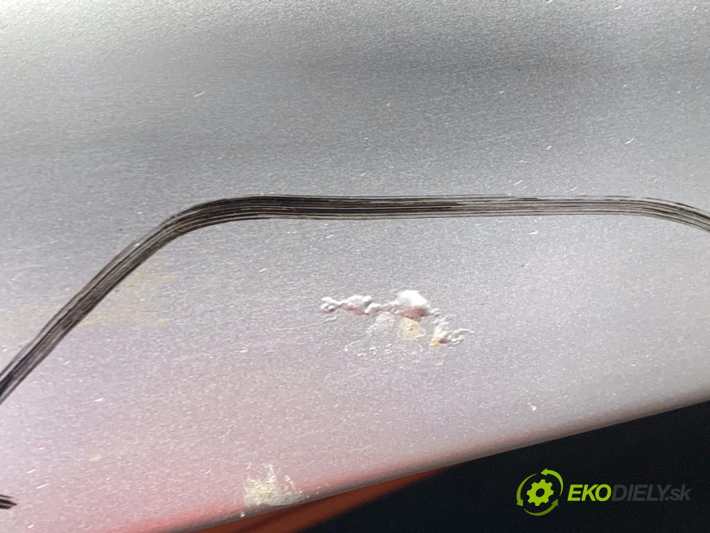 NISSAN LEAF ZE0 liftback 2013 80 kW Electric  Dvere ľavy predný