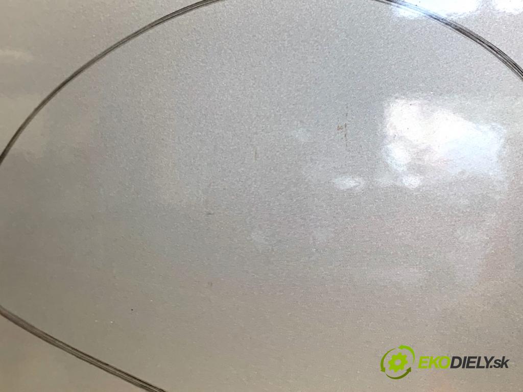 NISSAN LEAF ZE0 liftback 2013 80 kW Electric  Dvere ľavy zad
