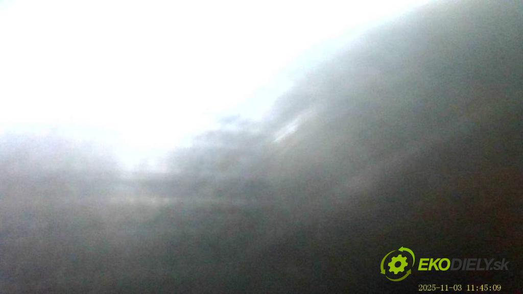 VW GOLF VII liftback 2016 81 kW 1.6 TDI 1598 motor CXX (Motor)