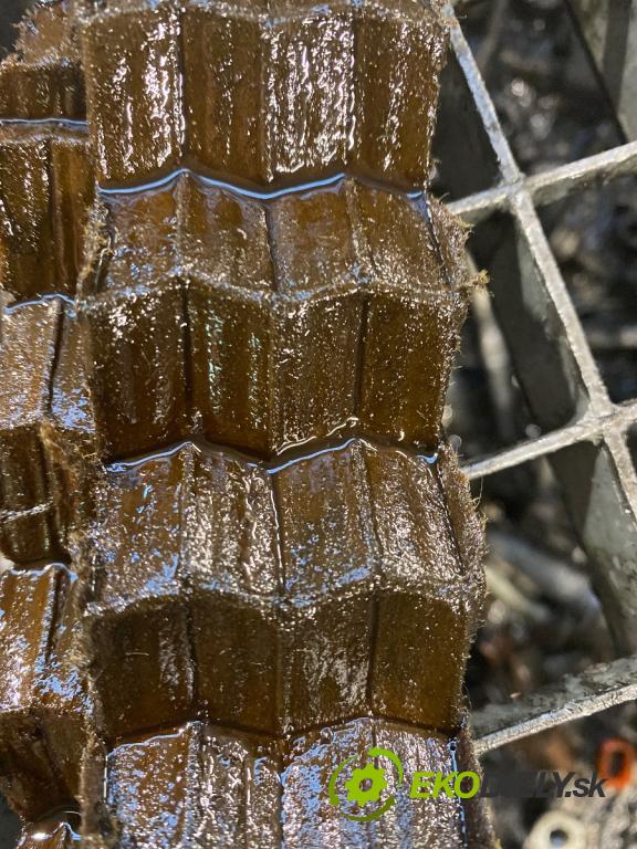 RENAULT SCENIC III nadwozie wielkoprzestrzenne (MPV) 2012 81 kW 1.6 16V (JZ0U, JZ1B) 1598 Motor K4MR858 (Motor)