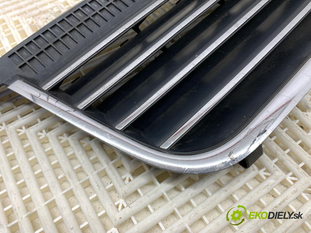 VW PASSAT B5 FL Kombi 2002 96 kW 1.9 TDI 1896 mřížka maska  (Přední mřížka (maska chladiče))