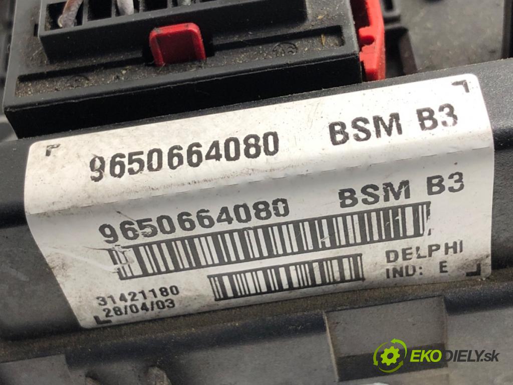 PEUGEOT 807 nadwozie wielkoprzestrzenne (MPV) 2004 94 kW 2.2 HDi 2179 Modul BSM 9650664080 (Riadiaca jednotka ostatné)