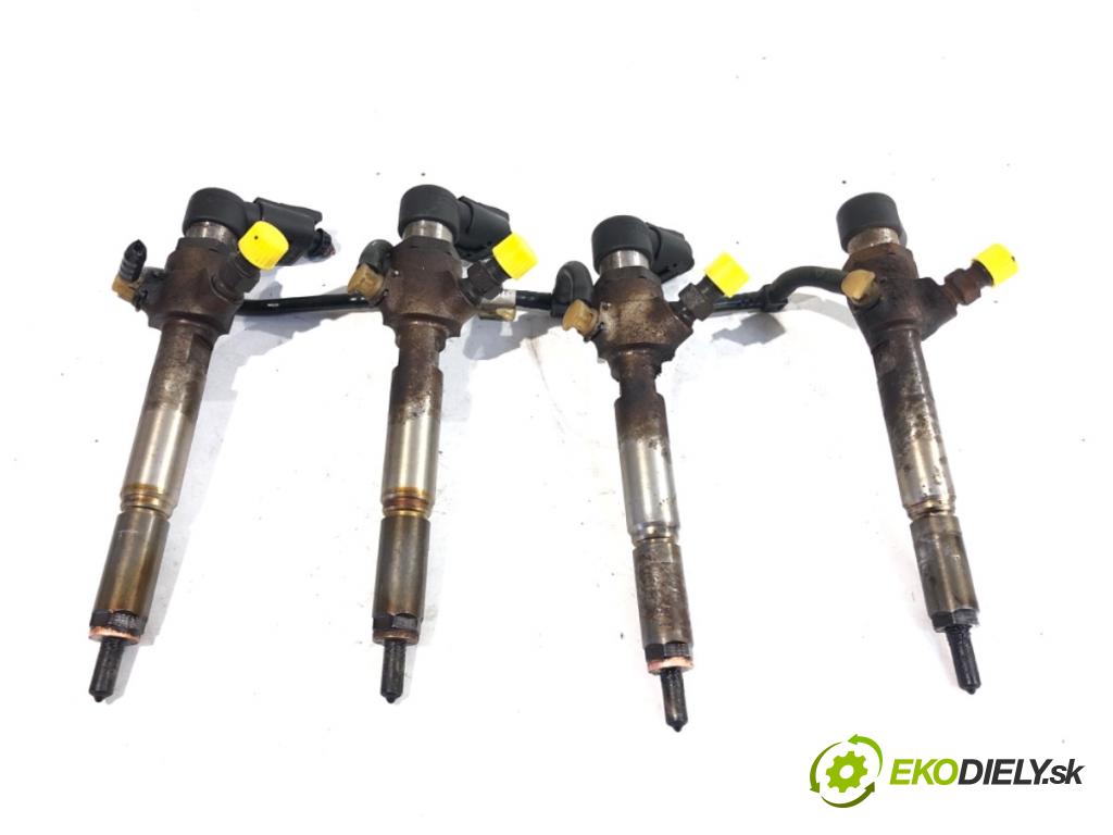 RENAULT LAGUNA III Kombi 2008 81 kW 1.5 dCi (KT0A, KT0R, KT02) 1461 Vstrekovacie ventily H8200294788