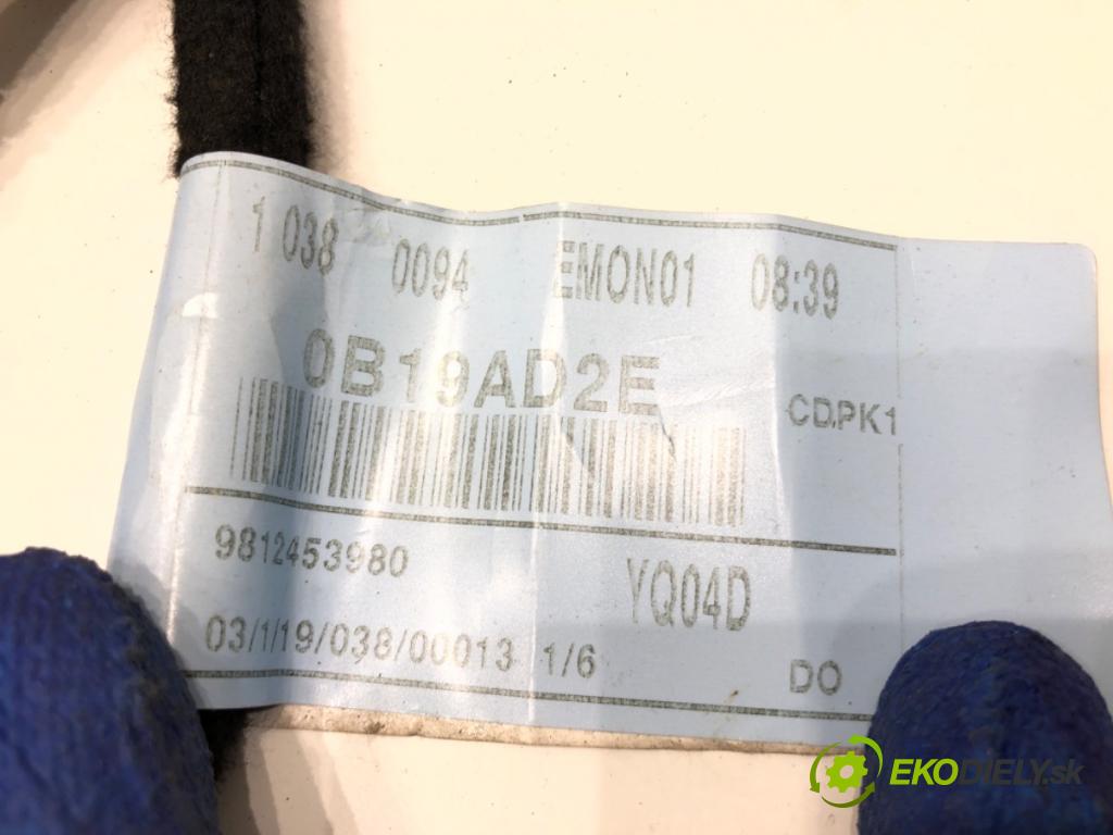 OPEL VIVARO C Autobus 2022 88 kW 1.5 1499 Káblovačka Dvere zadných pravá 9812453980