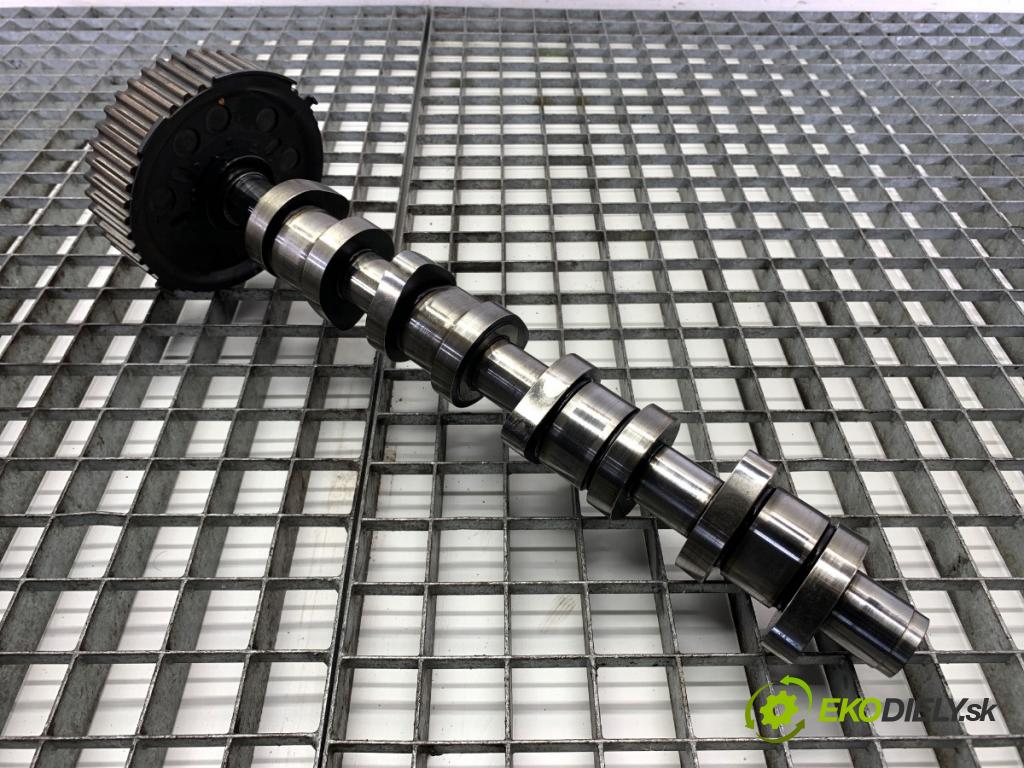 VW GOLF V liftback 2007 77 kW 1.9 TDI 1896 vačka vačkový hřídel 038109111E (Vačkové hriadele)
