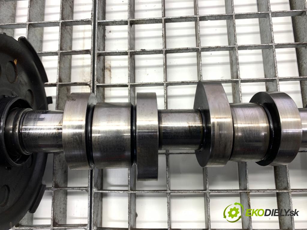 VW GOLF V liftback 2007 77 kW 1.9 TDI 1896 vačka vačkový hřídel 038109111E (Vačkové hriadele)