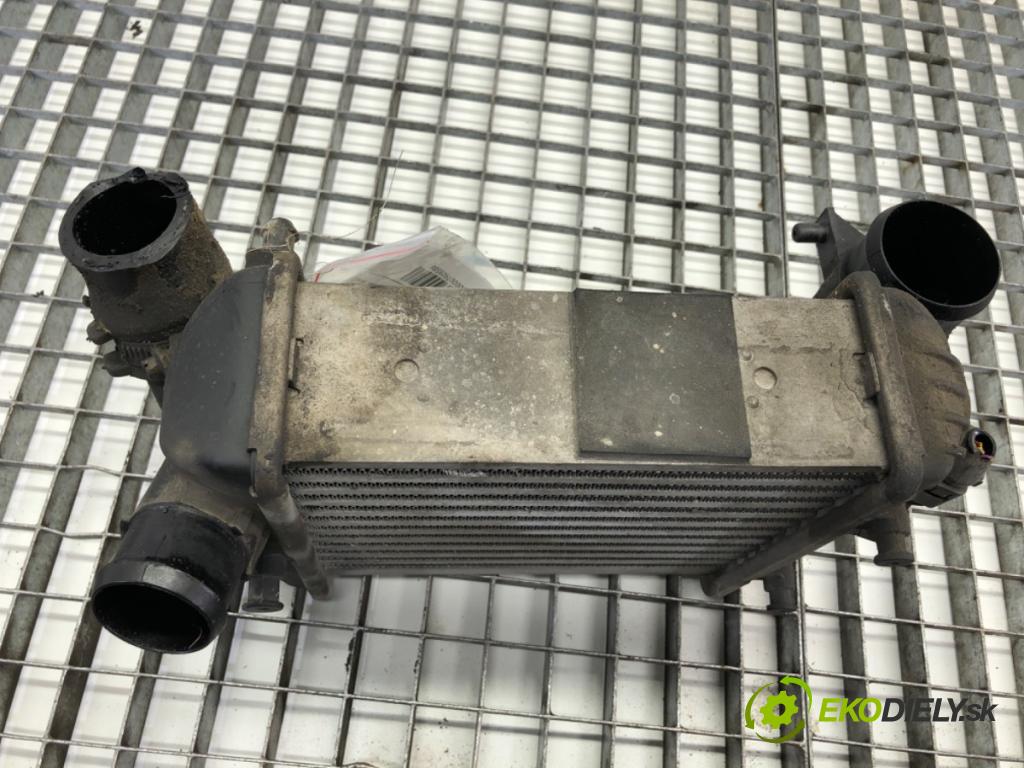 AUDI A4 B6 sedan 2003 132 kW 2.5 TDI quattro 2496 intercooler levý 038906051B (Intercooler (chladič stlačeného vzduchu))