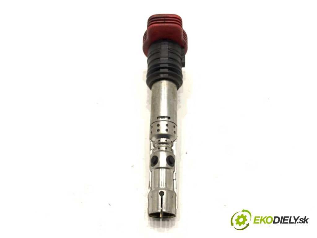 AUDI A6 C5 sedan 2002 162 kW 3.0 2976 Cievka zapaľovacia 0040102051 (Zapaľovacia cievka)