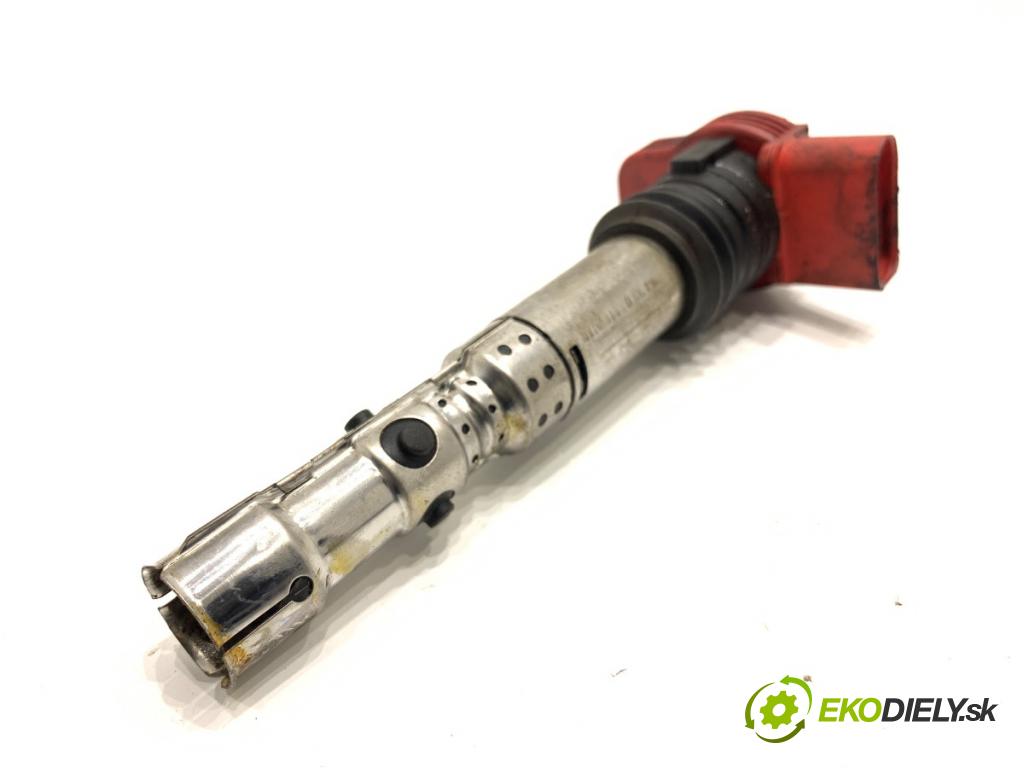 AUDI A6 C5 sedan 2002 162 kW 3.0 2976 Cievka zapaľovacia 0040102051 (Zapaľovacia cievka)